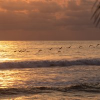 La Majahua Beach, Guerrero, Mexico