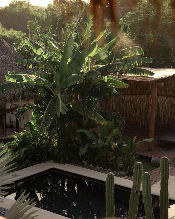 Casa MexiBali