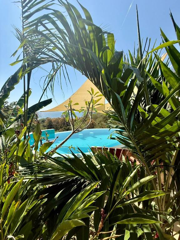 Casa Jasmin Bed & Breakfast